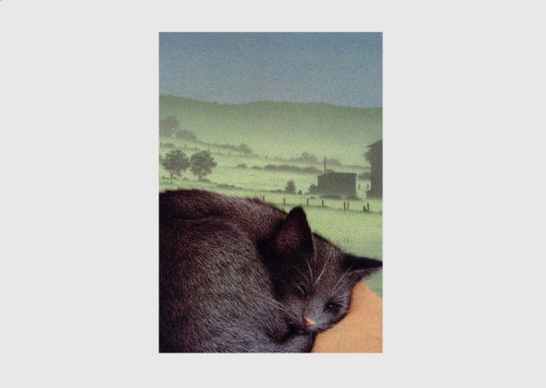 Postkarte Schlafende Katze