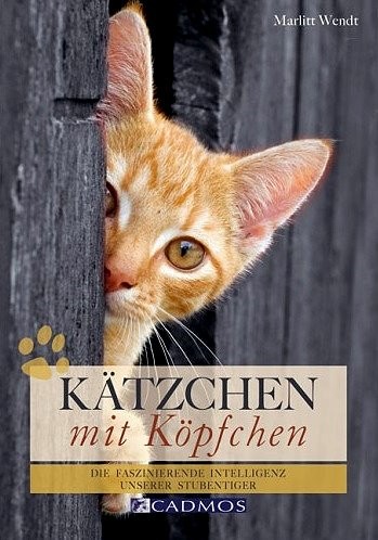 Buch: Kätzchen mit Köpfchen