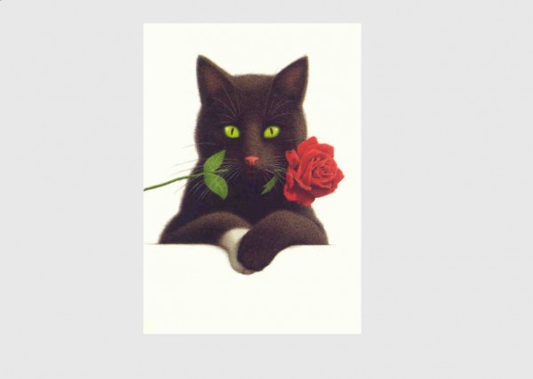 Postkarte Rosen Nero