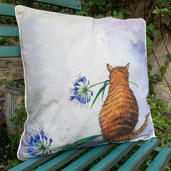 Cushion Cat and Agapanthus