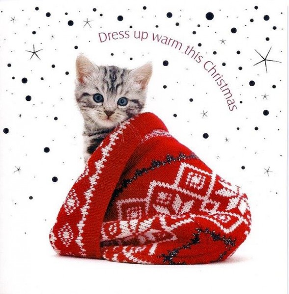 Weihnachtskarte quadr. Dress up warm