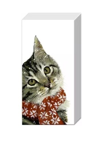 Pocket Tissues Kitty