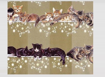 Geschenkpapier Sweet Dreams, 1 Bogen und Karte