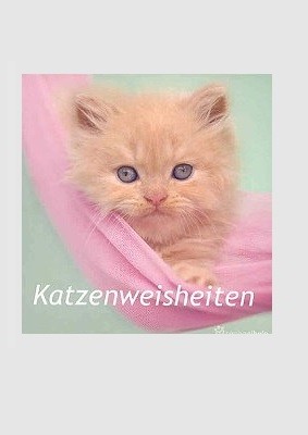 Buch: Katzenweisheiten