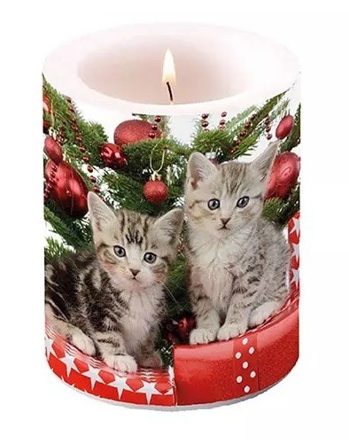 Dekorkerze Christmas Kitten, 12 cm