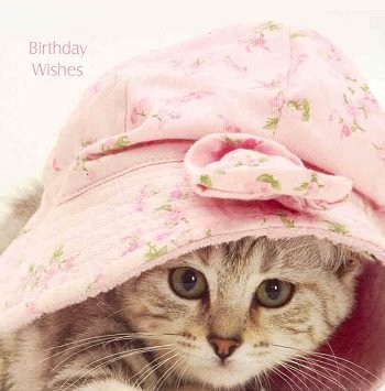 Klappkarte Birthday Wishes rosa Hut