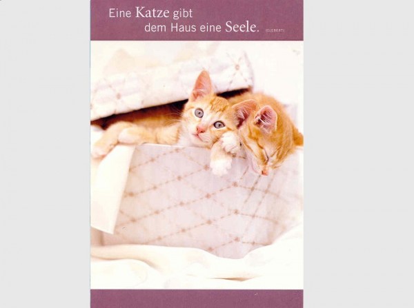 Postkarte Haus eine Seele.....