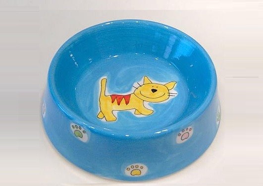 Napf Gelbe Katze