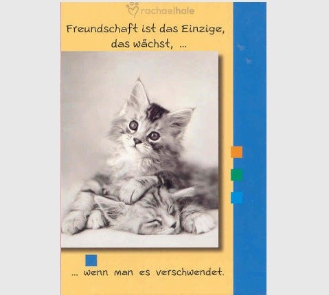 Klappkarte Freundschaft ist...