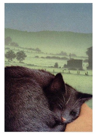 Postkarte Schlafende Katze