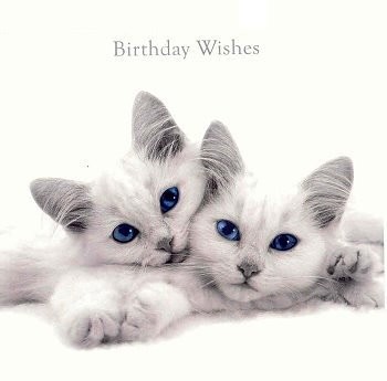 Klappkarte Birthday Wishes