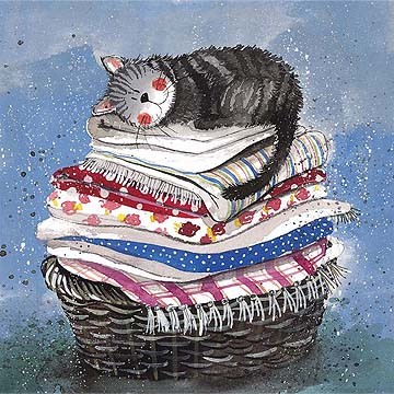 Laundry Basket Blank Card