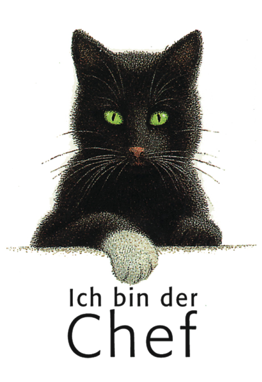 Postkarte Ich bin der Chef Was gibt es Neues? Tatzenladen
