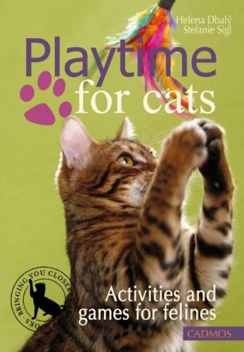 Playtime for Cats